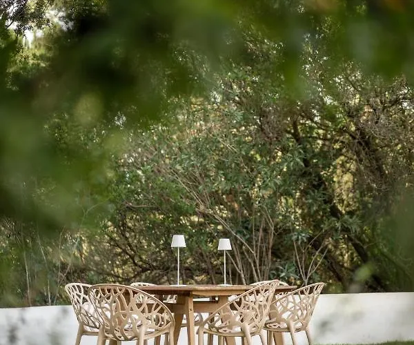 Quinta Da Arrabida Σπίτι διακοπών